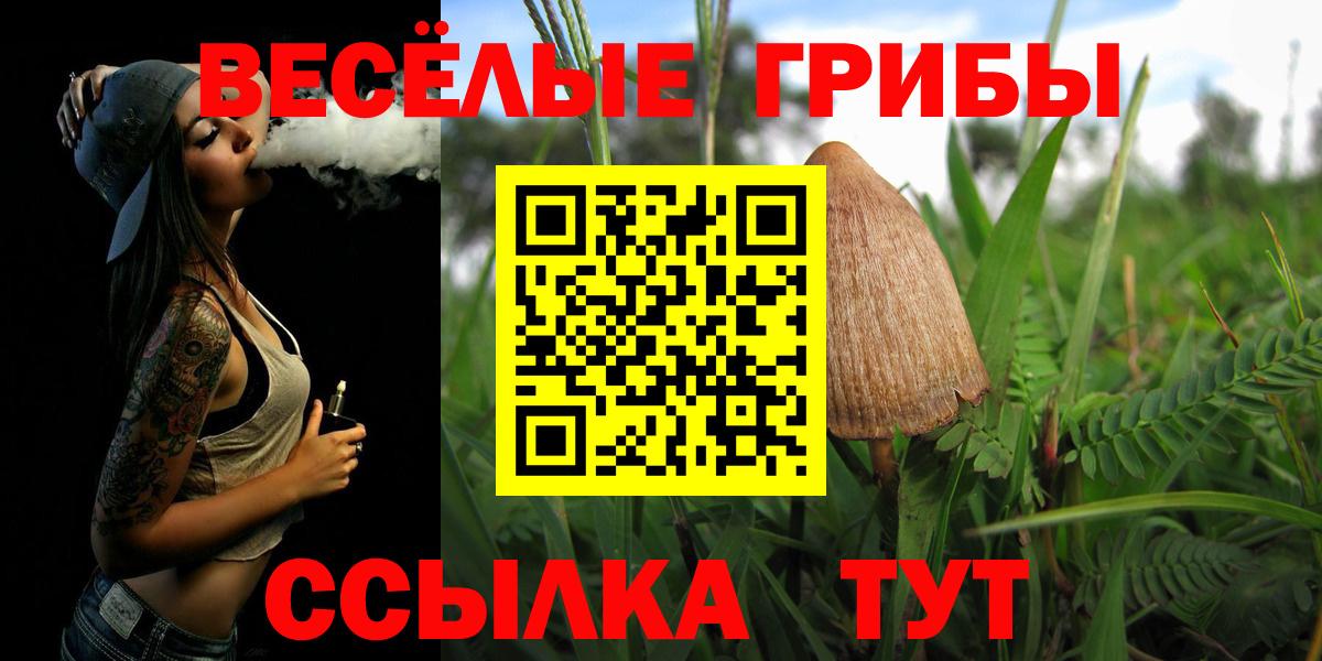 Псилоцибиновые грибы Psilocybine cubensis Калининград